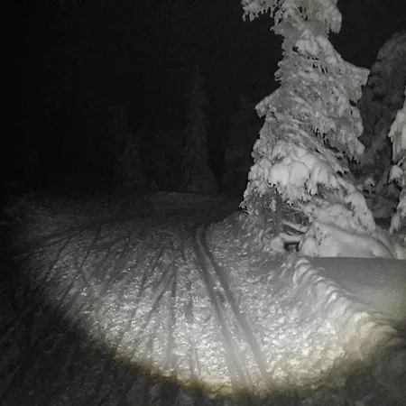 Romslig Familiehytte Med Vedfyrt Badestamp