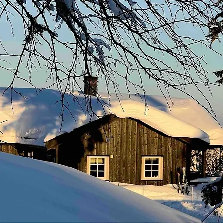 Vakantiehuis Romslig Familiehytte Med Vedfyrt Badestamp